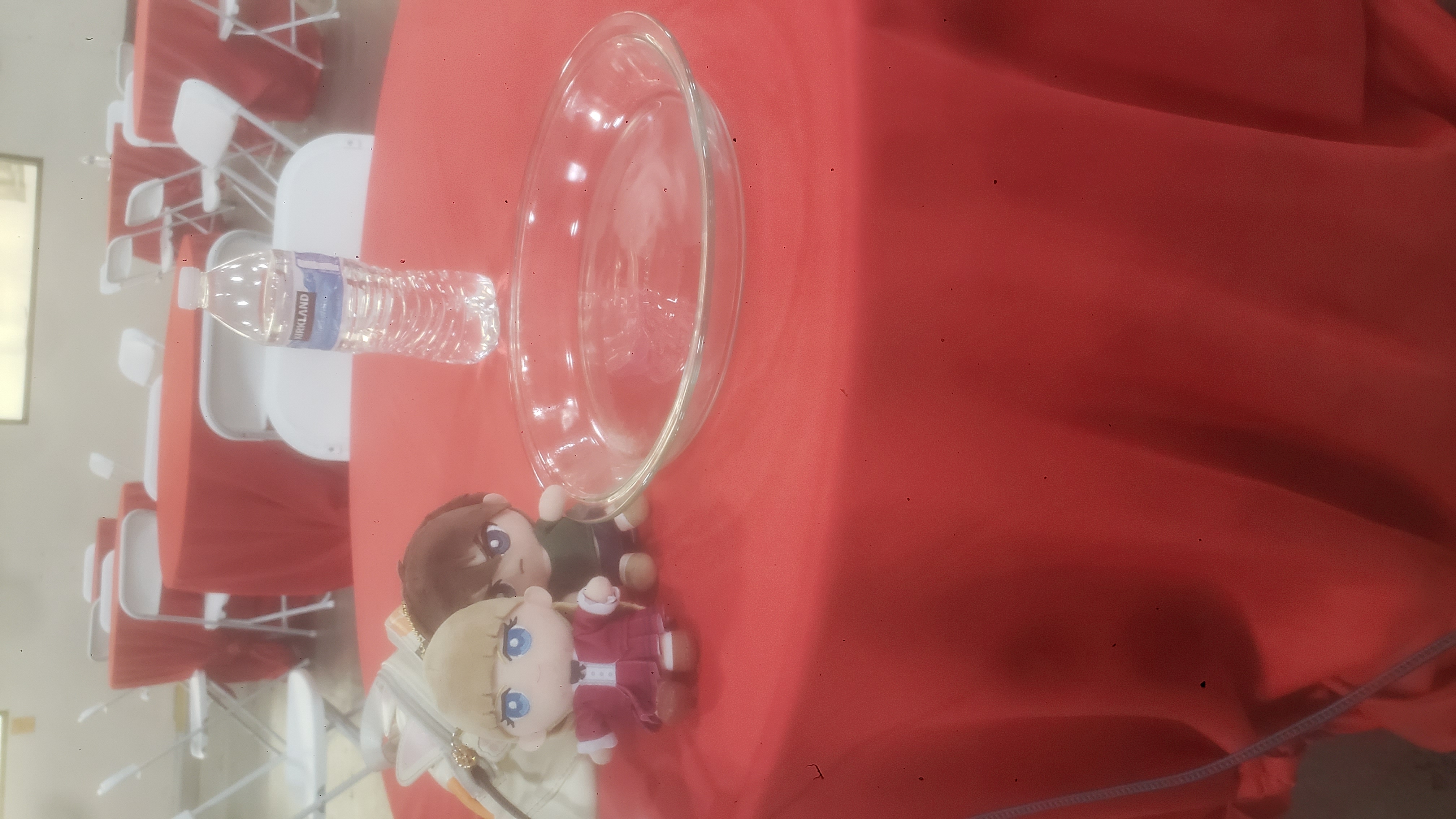 Water bottle, pie tin, and cat fanny on a table.